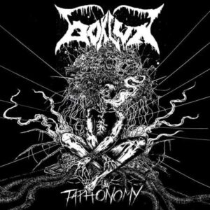 Bokluk - Taphonomy