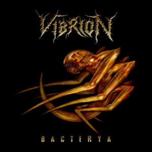 Vibrion - Bacterya