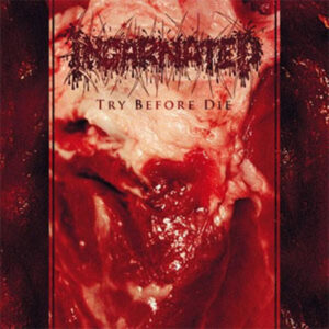 Incarnated - Try Before Die