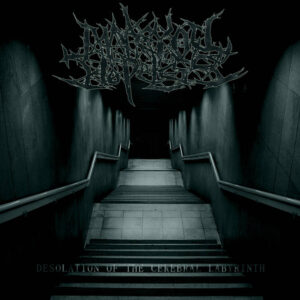Make You Hopeless - Desolation Of The Cerebral Labyrinth