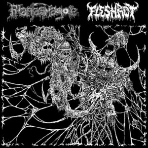 Phantasmagore / Fleshrot - Split (Demos)