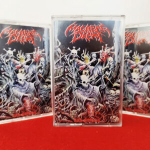 Macabre Decay - Into Oblivion (MC)