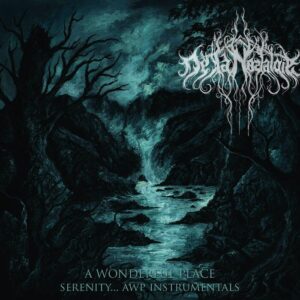 De La Nostalgie - A Wonderful Place / Serenity​.​.​. AWP Instrumentals (Importado GSP) 2 CD´s