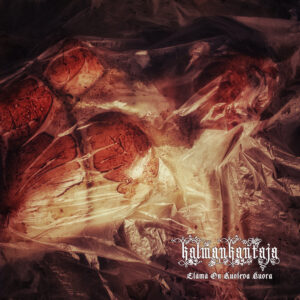 Kalmankantaja - Elämä On Kuoleva Huora (Importado GSP)