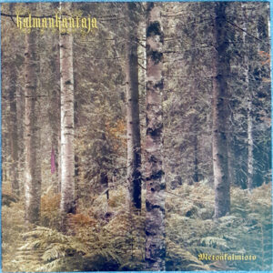 Kalmankantaja - Metsäkalmisto (Importado GSP)
