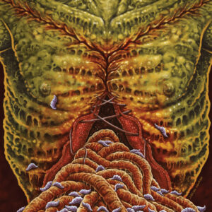 Flesh Grinder - Biacromioxifopubiano (Slipcase)