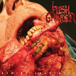 Flesh Grinder - Nomina Anatomica
