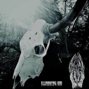 Obsidian Hooves – Illuminating Void