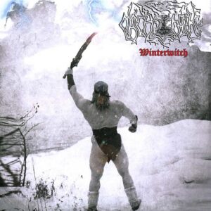 Nachtfalke – Winterwitch