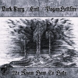 Dark Fury / Evil - We Know How To Hate (Importado)