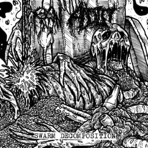 Raw Addict - Swarm Decomposition (Importado Selfmadegod)