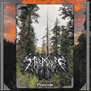 Sturmgraf – Bluterbe (Importado)