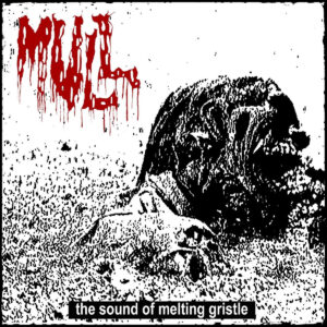 Mull - The Sound Of Melting Gristle (Importado Rottenrollrex)