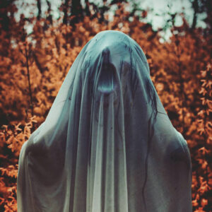 Noctambulist - Noctambulist I: Elegieën (Importado Northern Silence Productions)