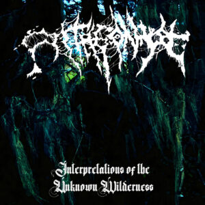 Antagonyze - Interpretations Of The Unknown Wilderness (Importado Chaos Records)