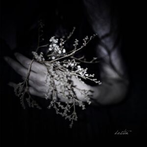 Clouds - Destin (Importado Personal Records)